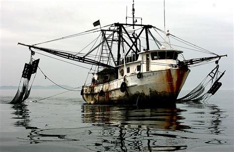 pirate fishing|The Truth About Pirate Fishing .